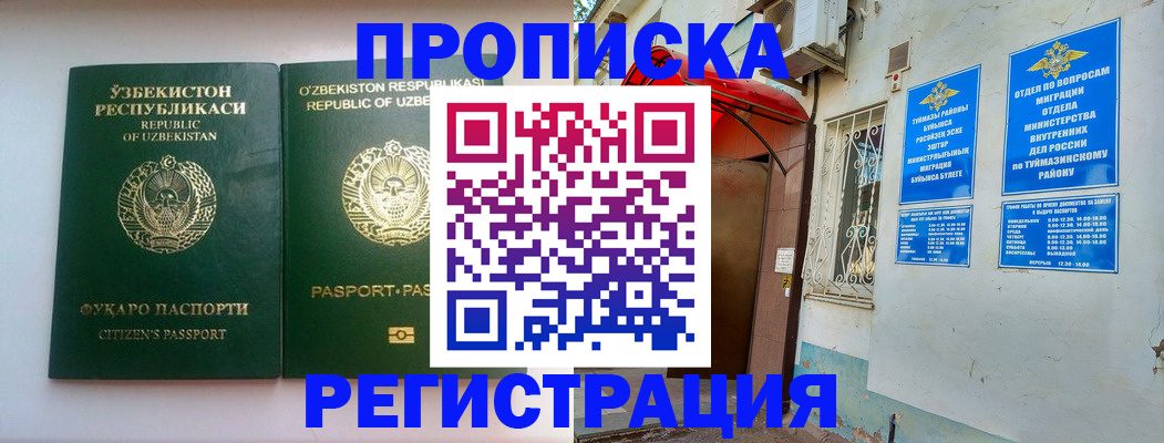 где прописаться в Чудово